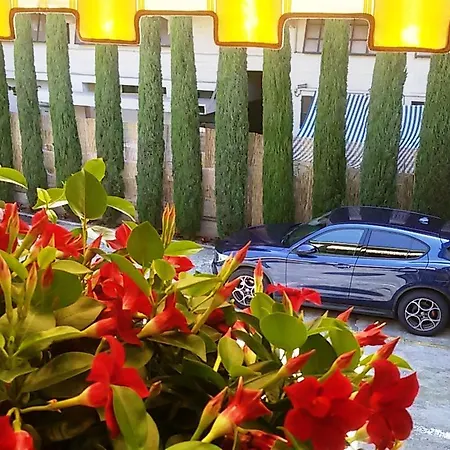 Ai Cipressi 3* לוקה